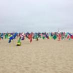 Flags On Venice Beach